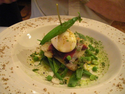 egg